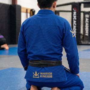 Au-79 Comp WK BJJ Gi - White - Image 6